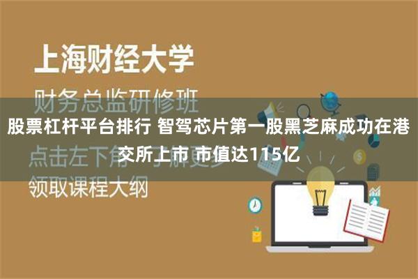 股票杠杆平台排行 智驾芯片第一股黑芝麻成功在港交所上市 市值达115亿