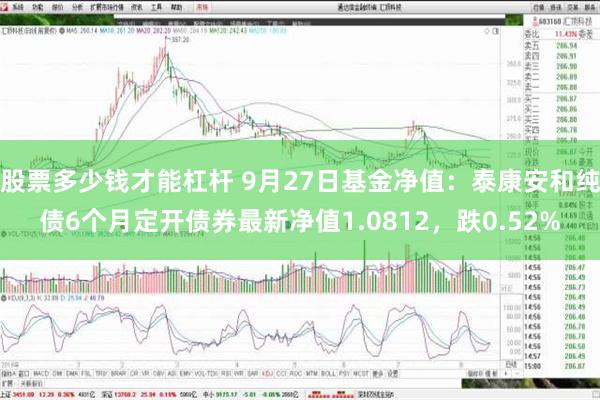 股票多少钱才能杠杆 9月27日基金净值：泰康安和纯债6个月定开债券最新净值1.0812，跌0.52%