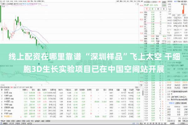 线上配资在哪里靠谱 “深圳样品”飞上太空 干细胞3D生长实验项目已在中国空间站开展