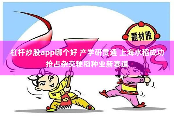 杠杆炒股app哪个好 产学研贯通 上海水稻成功抢占杂交粳稻种业新赛道