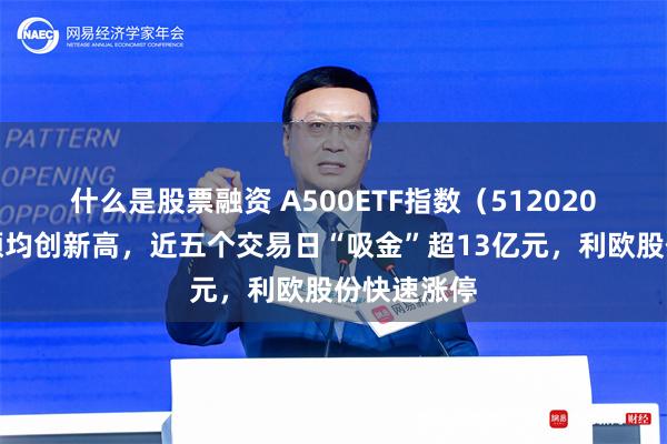 什么是股票融资 A500ETF指数（512020）规模份额均创新高，近五个交易日“吸金”超13亿元，利欧股份快速涨停