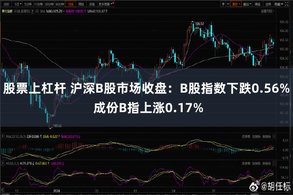 股票上杠杆 沪深B股市场收盘：B股指数下跌0.56% 成份B指上涨0.17%